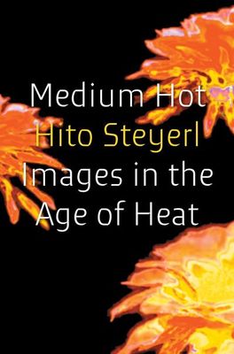 Medium Hot: Images in The Age of Heat by Hito Steyerl