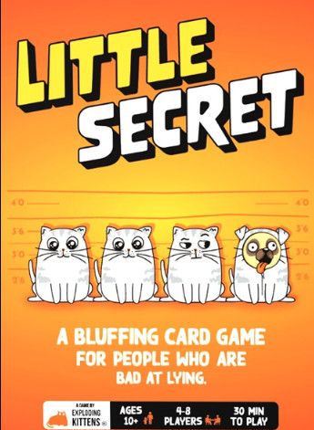 LITTLE SECRET