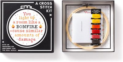You Light Up A Room – Cross Stitch Kit by Brass Monkey