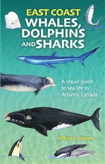 East Coast Whales, Sharks and Dolphins: A visual guide to the sealife of the Maritime Provinces by Jeffrey C. Domm