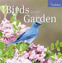 Audubon Birds in the Garden Wall Calendar - 2026