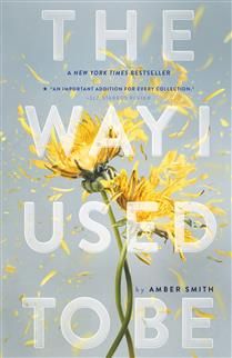 The Way I Used to Be (The Way I Used to Be #1) by Amber Smith