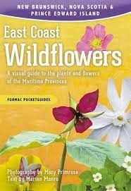 East Coast Wildflowers: A visual guide to the plants and flowers of the Maritime Provinces by Marian Munro