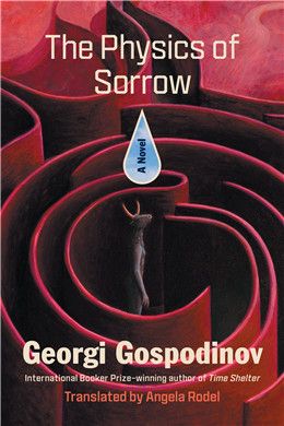 The Physics of Sorrow By Georgi Gospodinov