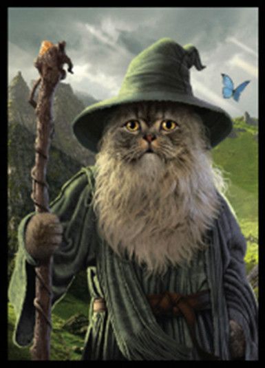 Legion Sleeves - , Color: Catdalf