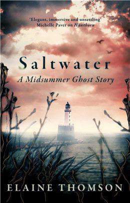 Saltwater: A midsummer ghost story By Elaine Thomson