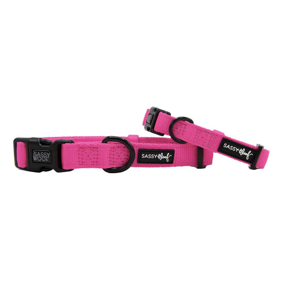 Sassy Woof DOG COLLAR - NEON PINK, Size: Small