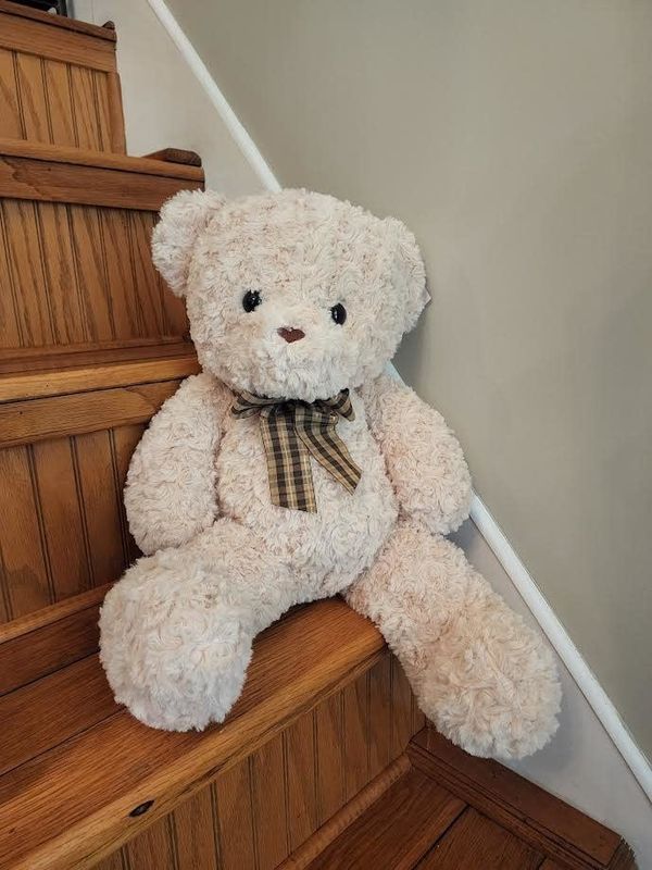 Baxter Bears