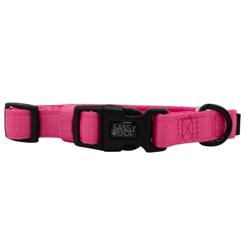 Sassy Woof DOG COLLAR - NEON PINK
