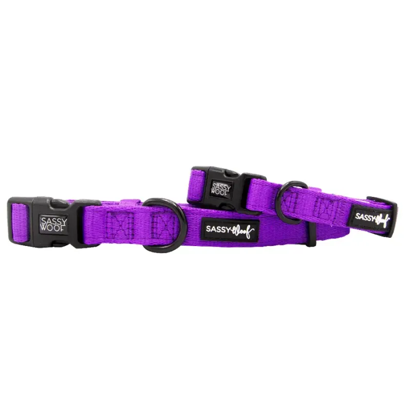 Sassy Woof DOG COLLAR - NEON PURPLE