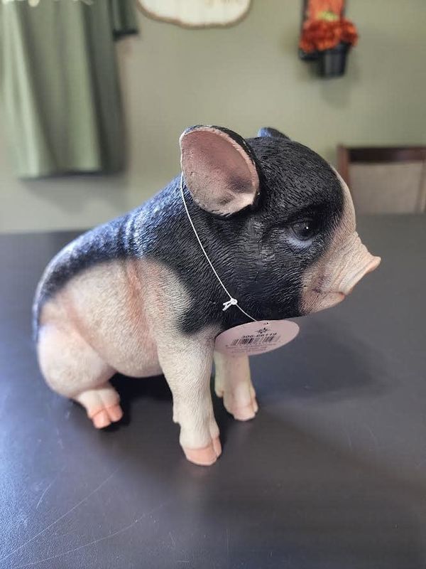Decoration Pig