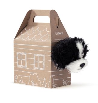 Bean Bag Pop Up Carrier