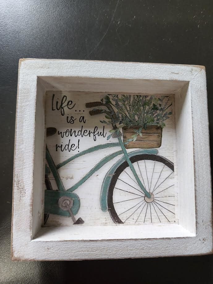 Blossom Bucket Pictures, Options: Life is a Wonderful Ride