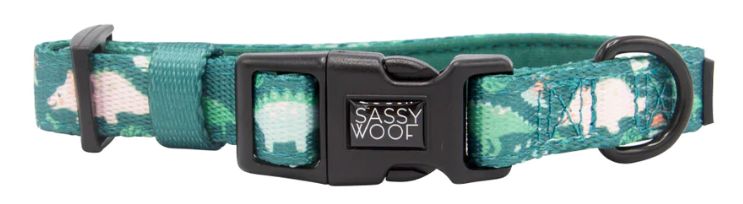 Sassy Woof Dog Collar, Color: Adorasaurus, Size: XS