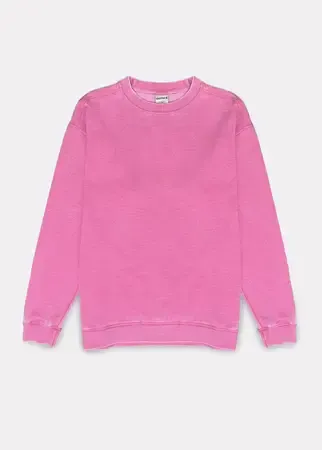 Chicka-d Campus Crew Sweatshirt Bubblegum, Size: S