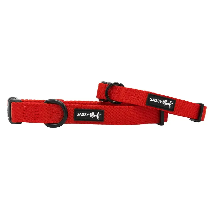 Sassy Woof DOG COLLAR - NEON RED, Size: Small
