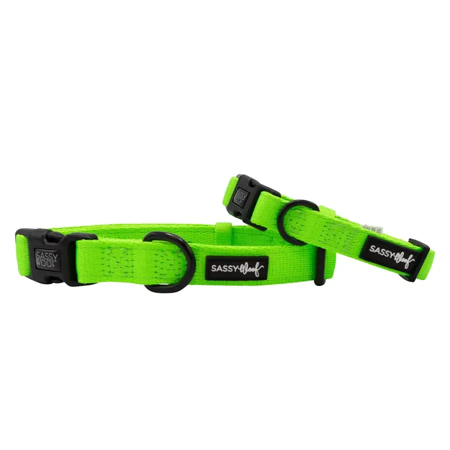 Sassy Woof DOG COLLAR - NEON GREEN, Size: Small
