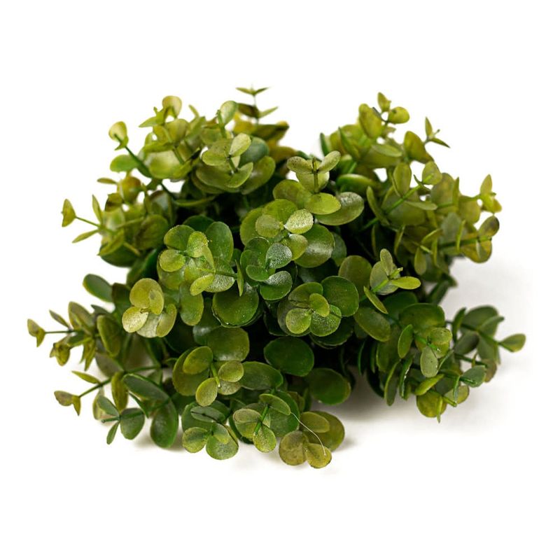 Half Eucalyptus Ball