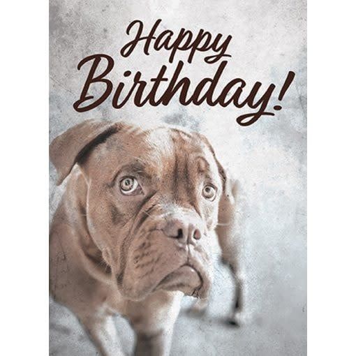 &quot;Happy Birthday&quot; Humorous Greeting Card