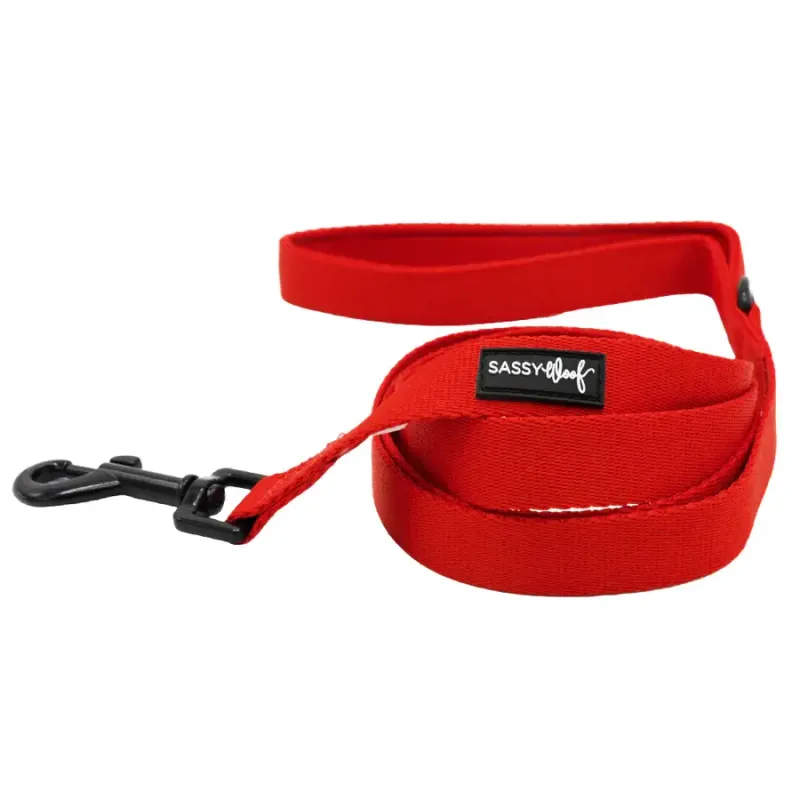 Sassy Woof DOG LEASH - NEON RED