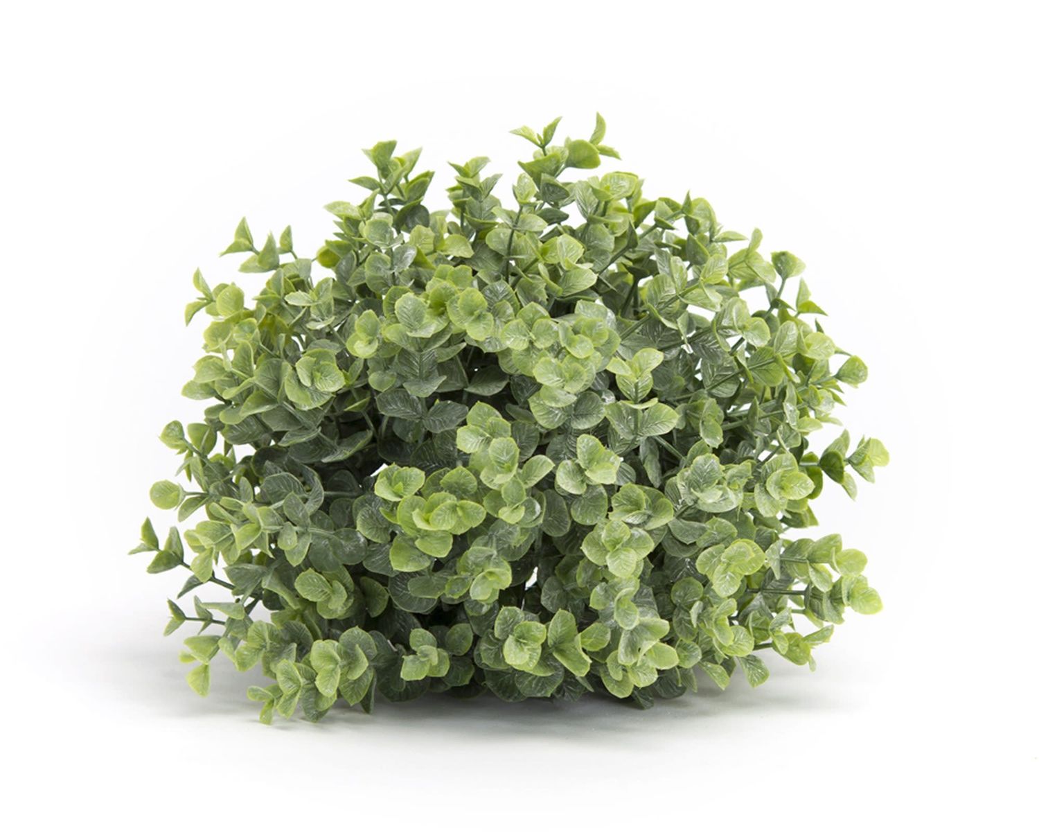 Half Boxwood Ball