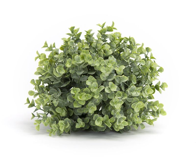 Half Boxwood Ball