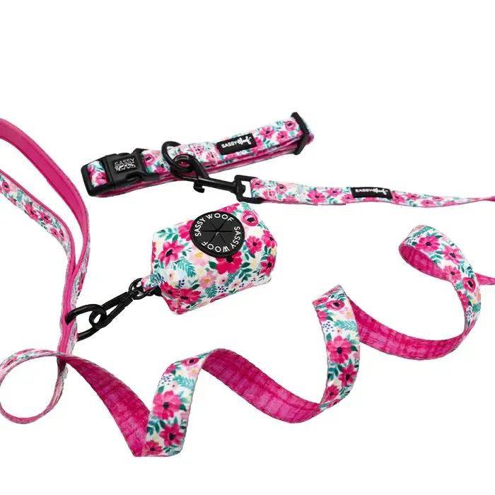 Sassy Woof COLLAR THREE PIECE BUNDLE - FLORAL FRENZY