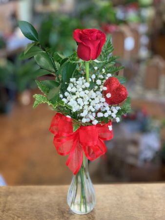 Single Rose in Vase