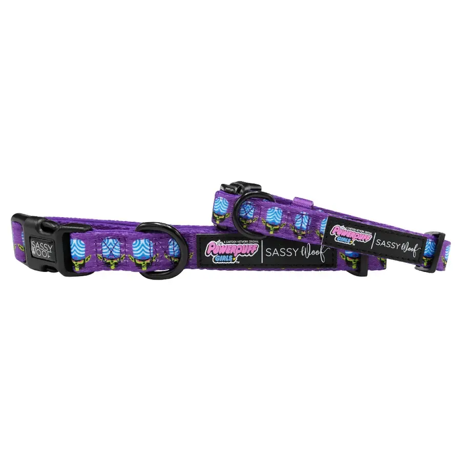 SASSY WOOF DOG COLLAR - MOJO JOJO™ Medium