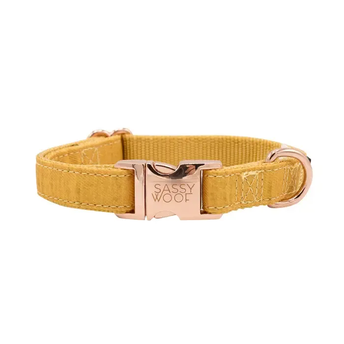 Sassy Woof DOG COLLAR - SUNFLOWER FIELDS Medium