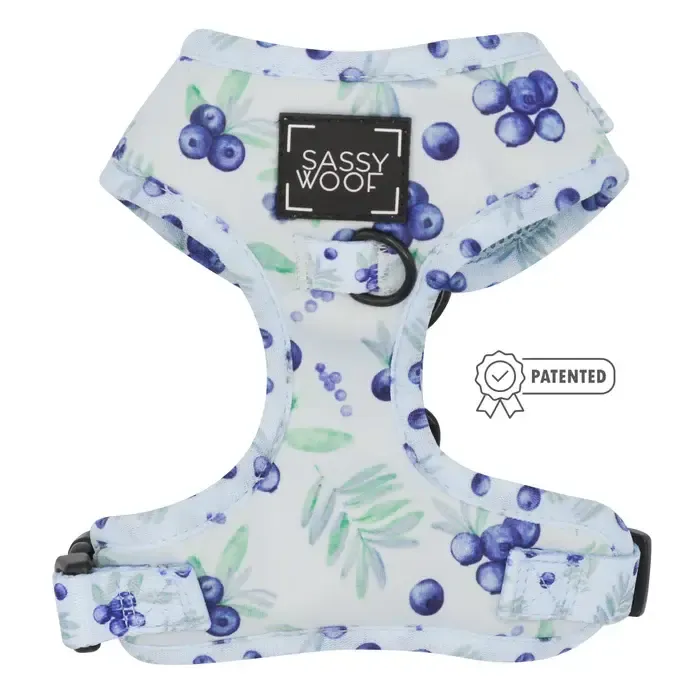 Sassy Woof DOG ADJUSTABLE HARNESS - BERRY SASSY Medium