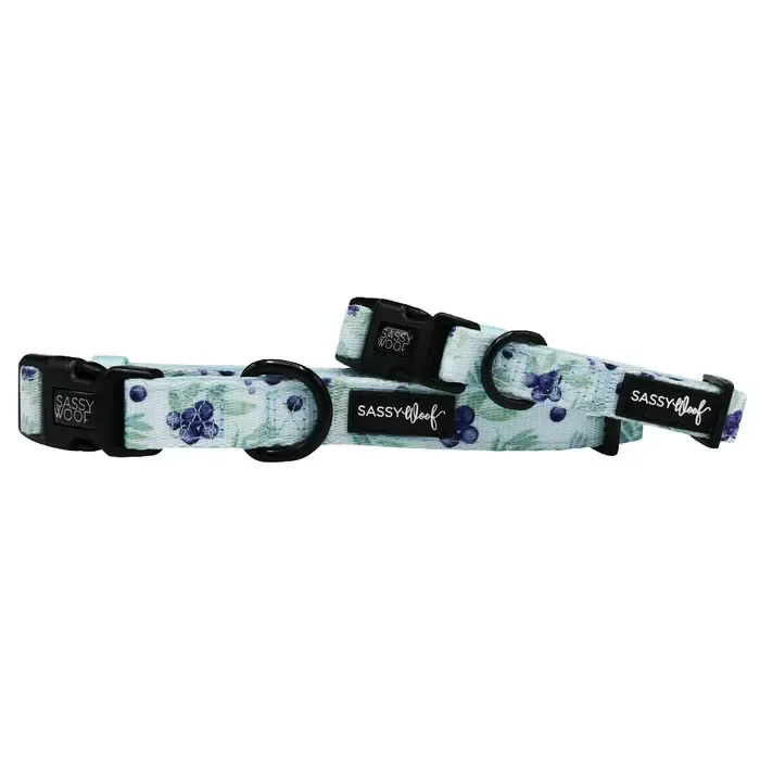 Sassy Woof DOG COLLAR - BERRY SASSY Medium