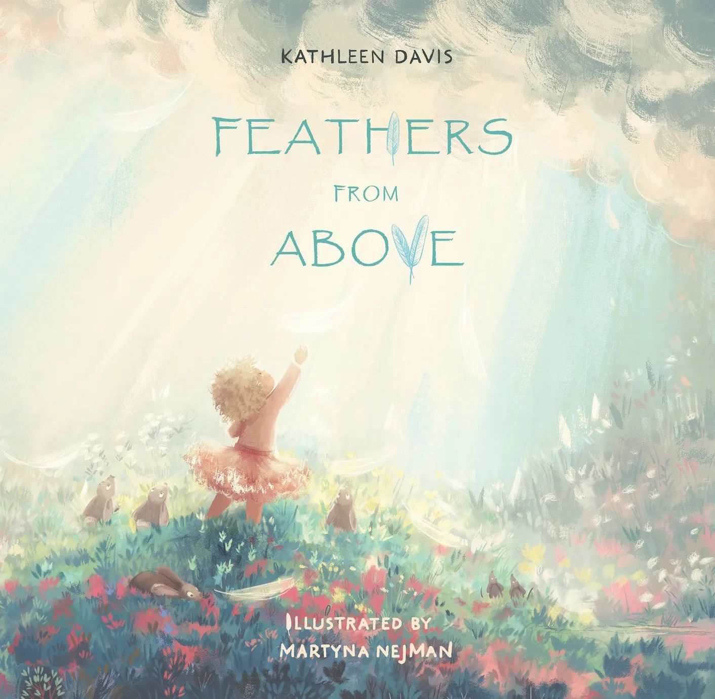 Feathers from Above Book (Hardcover)