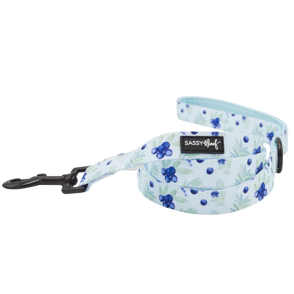 Sassy Woof Berry Sassy Dog Leash