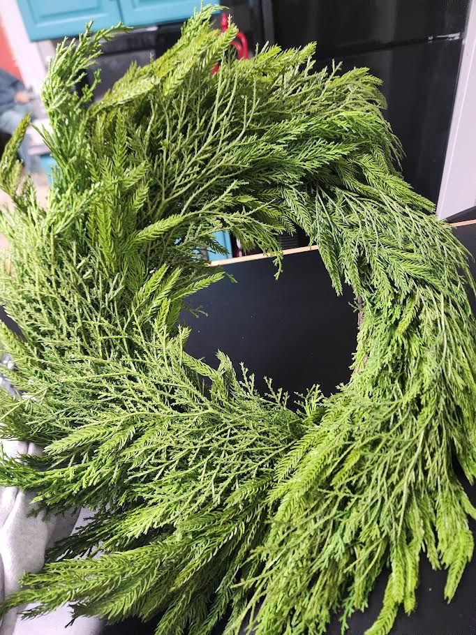 Norfolk Pine Wreath