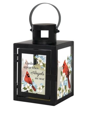 Cardinals Appear Lantern