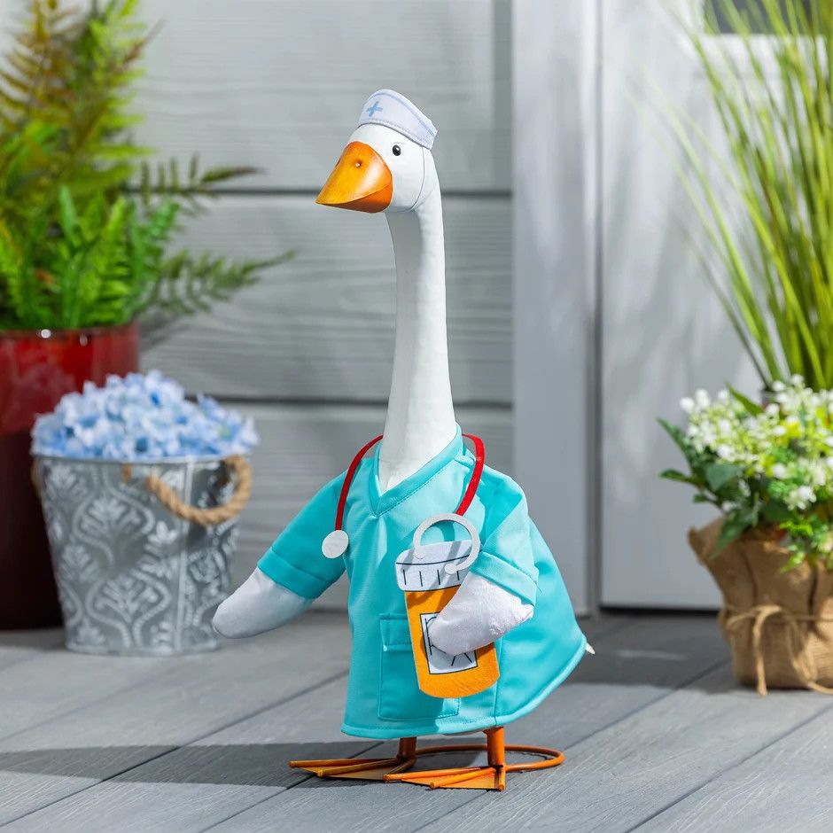 Nurse For Giddy The Porch Goose