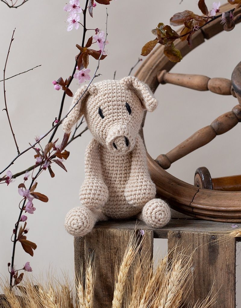 Richard the Pig Kit