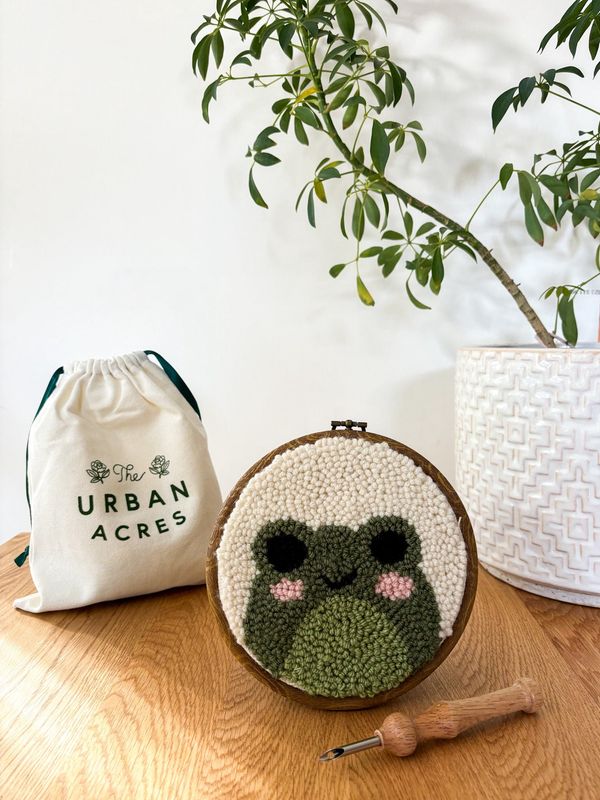 Frog Punch Needle Box Kit
