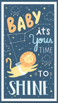 Baby's Adventure Panel