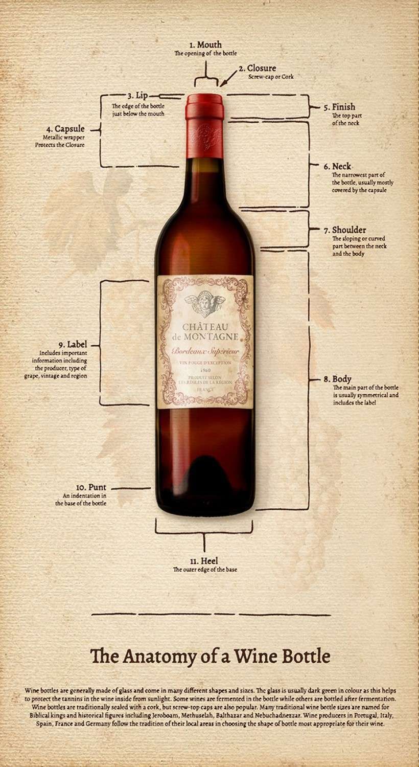 Light Caramel Anatomy of Bottle Panel