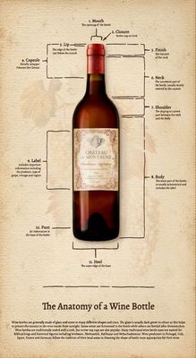 Light Caramel Anatomy of Bottle Panel