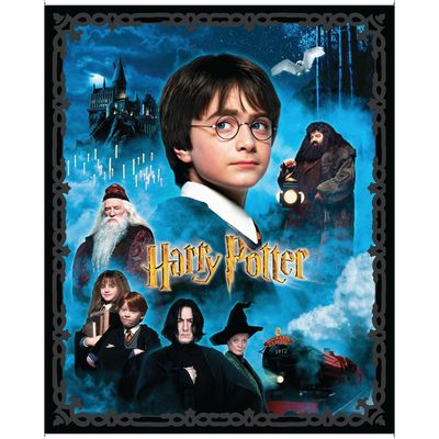 Harry Potter Panel Kit