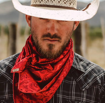 Wild Rags / Neck Scarves