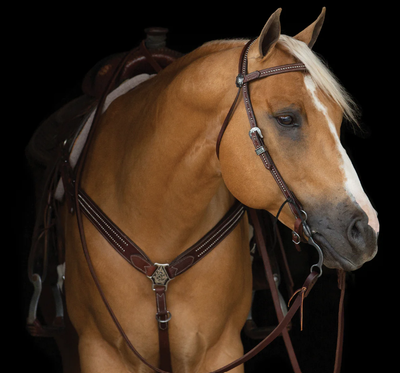 Headstalls / Breastcollars