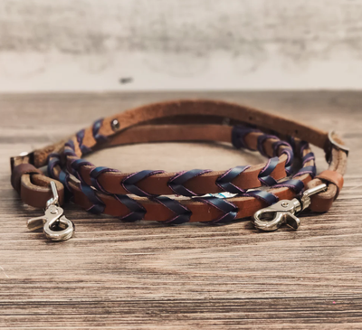 Reins