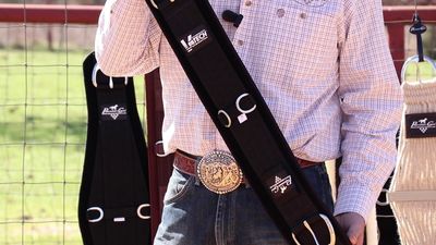 Cinches