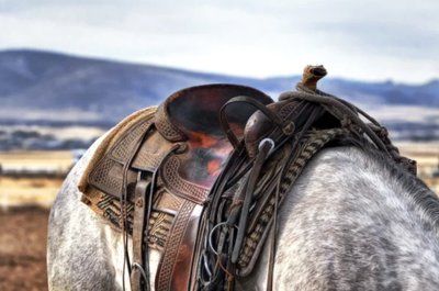 Saddle Accessories