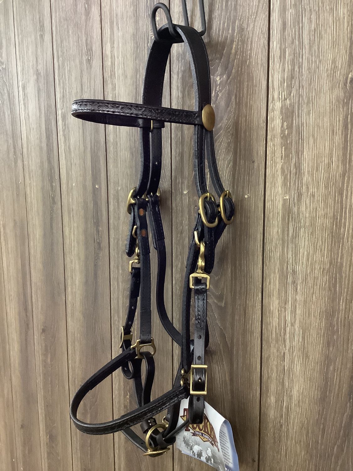 JBW Tucker Outfitter Halter Bridle