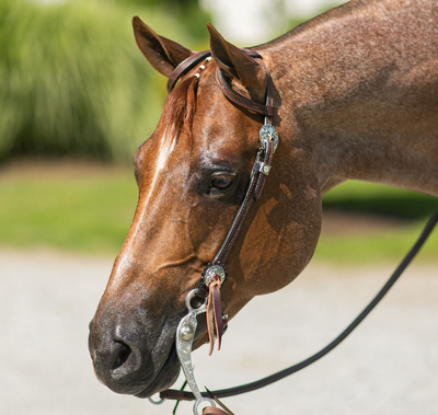 Headstalls